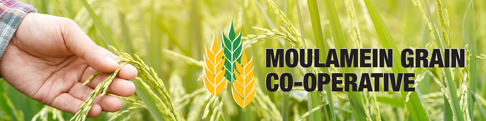 MGC Banner (2).png